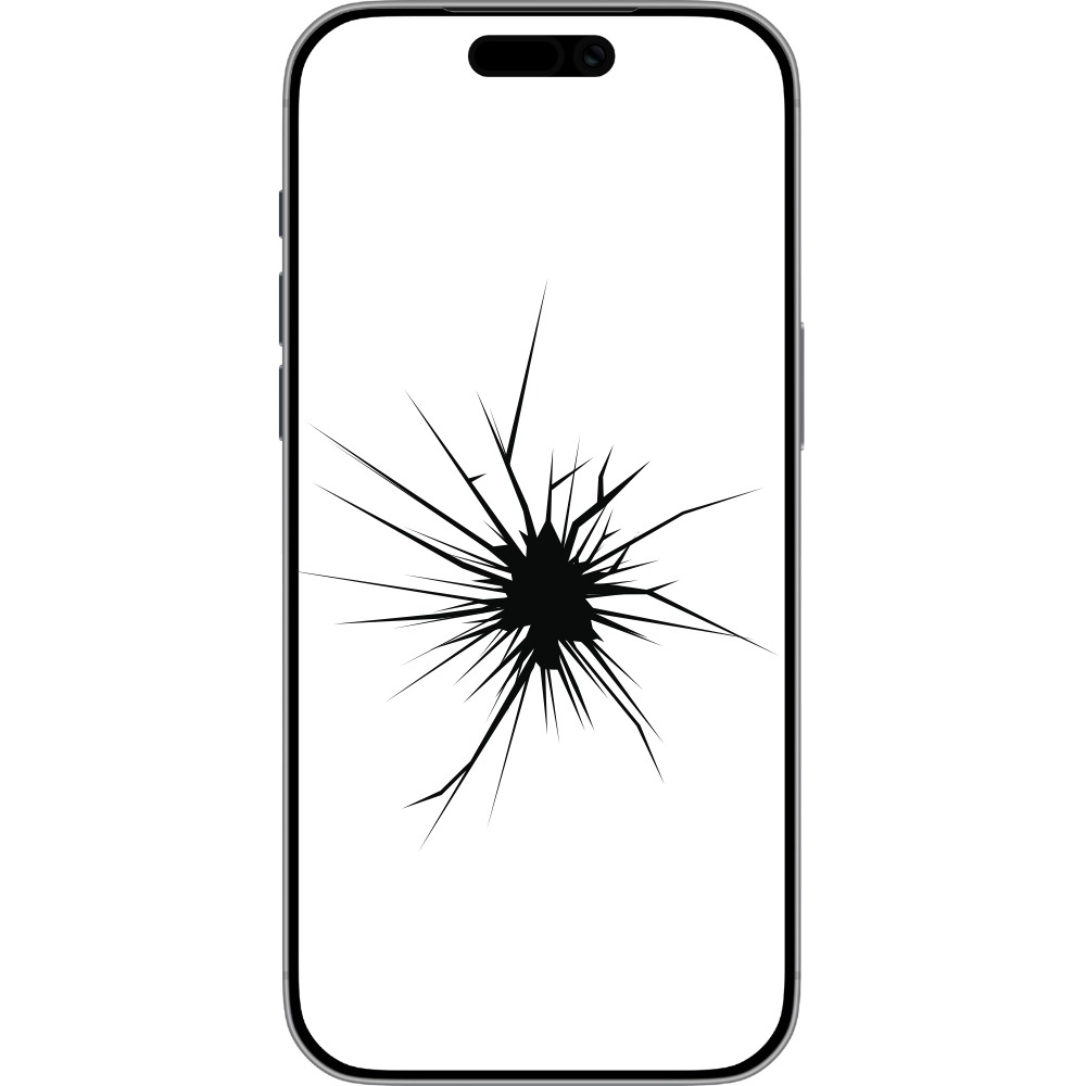 Main Screen Repair