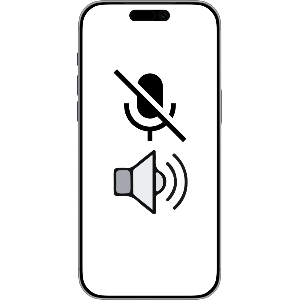 Speaker or Mic Issue